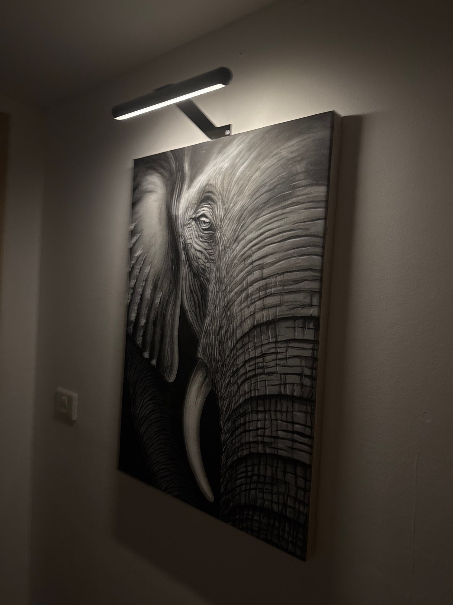 Draadloze LED Schilderijverlichting – Oplaadbare Wandlamp voor Kunst & Foto’s | Restfield