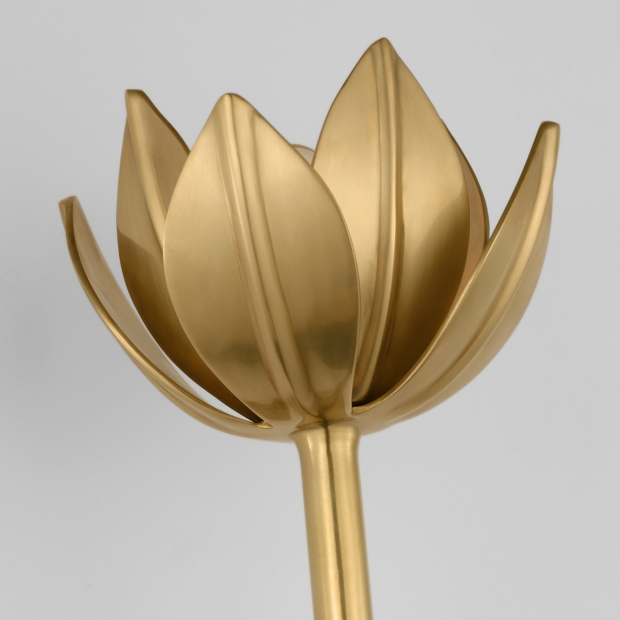 Design Wandlamp met Bloemvorm in Messing en Gips – Artistieke Wandverlichting Geïnspireerd op Giacometti voor Woonkamer en Hal | Restfield