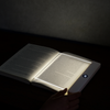 Boeklamp LED Leeslamp Ultra Dun Oplaadbaar Met Drie Lichtstanden Timer En Gelijkmatige Verlichting Zonder Schaduwen Voor Boek En E Reader | Restfield