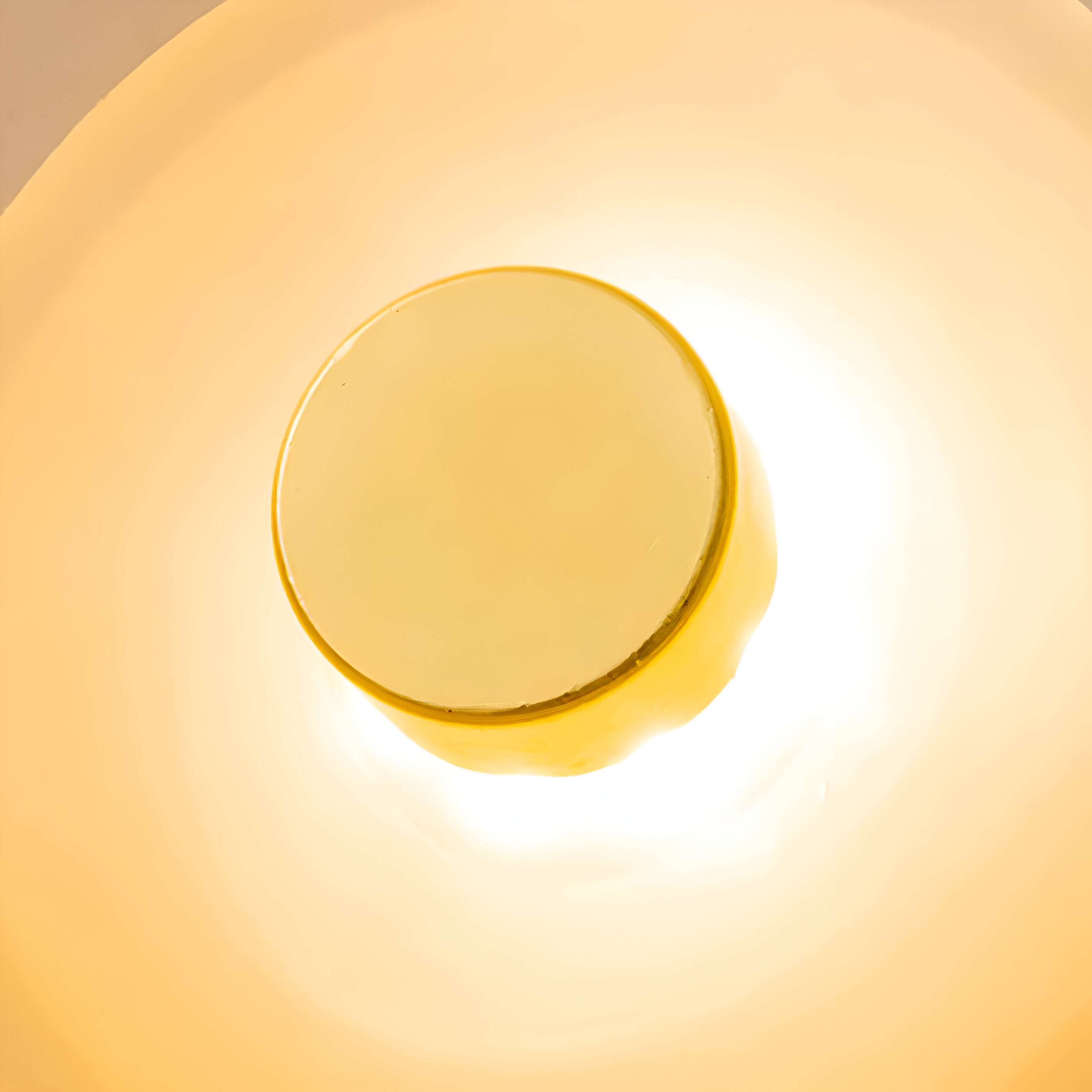 Wandlamp Gebogen Glas LED Sculpturaal Nordisch Goud Zwart 25cm Woonkamer Slaapkamer | Restfield