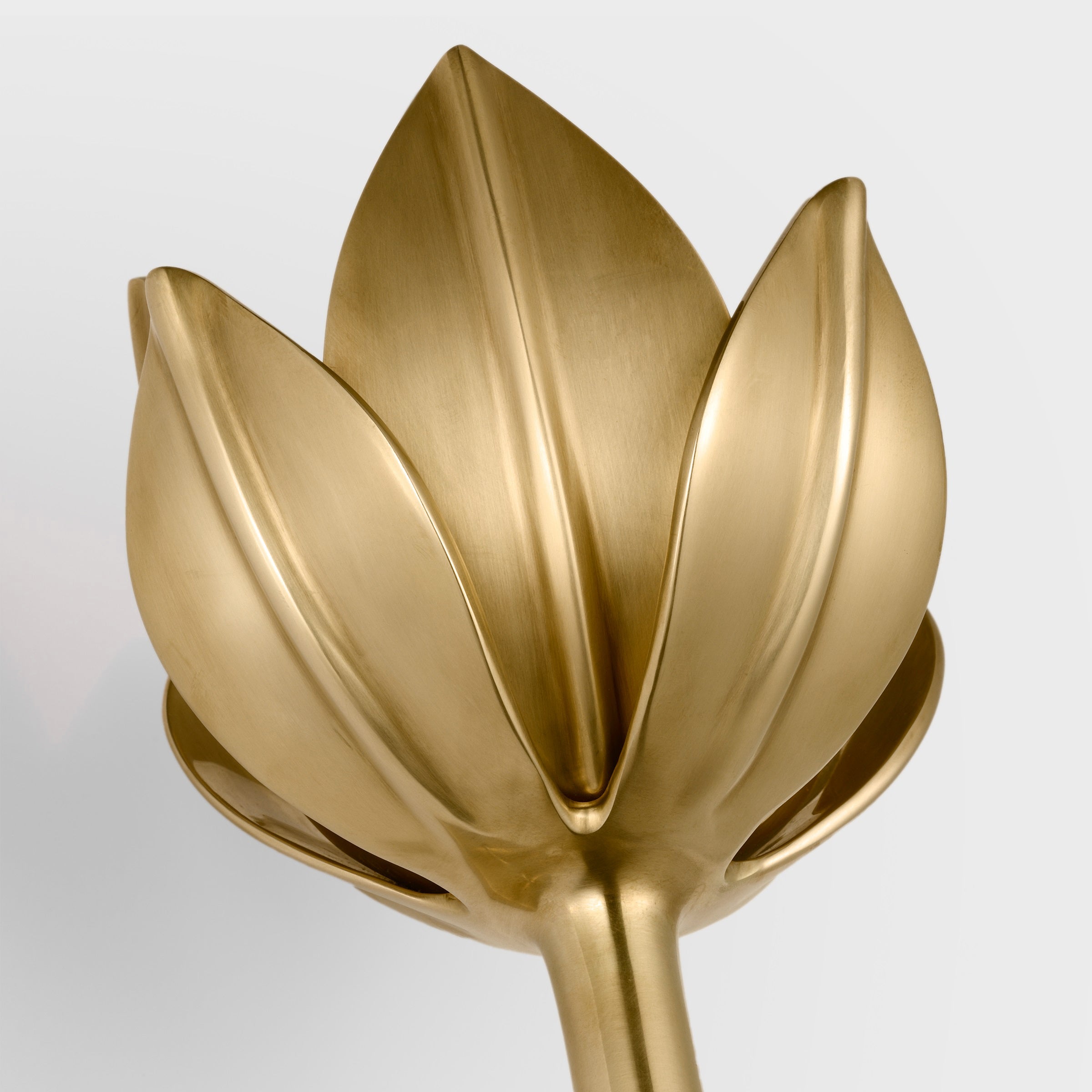 Design Wandlamp met Bloemvorm in Messing en Gips – Artistieke Wandverlichting Geïnspireerd op Giacometti voor Woonkamer en Hal | Restfield