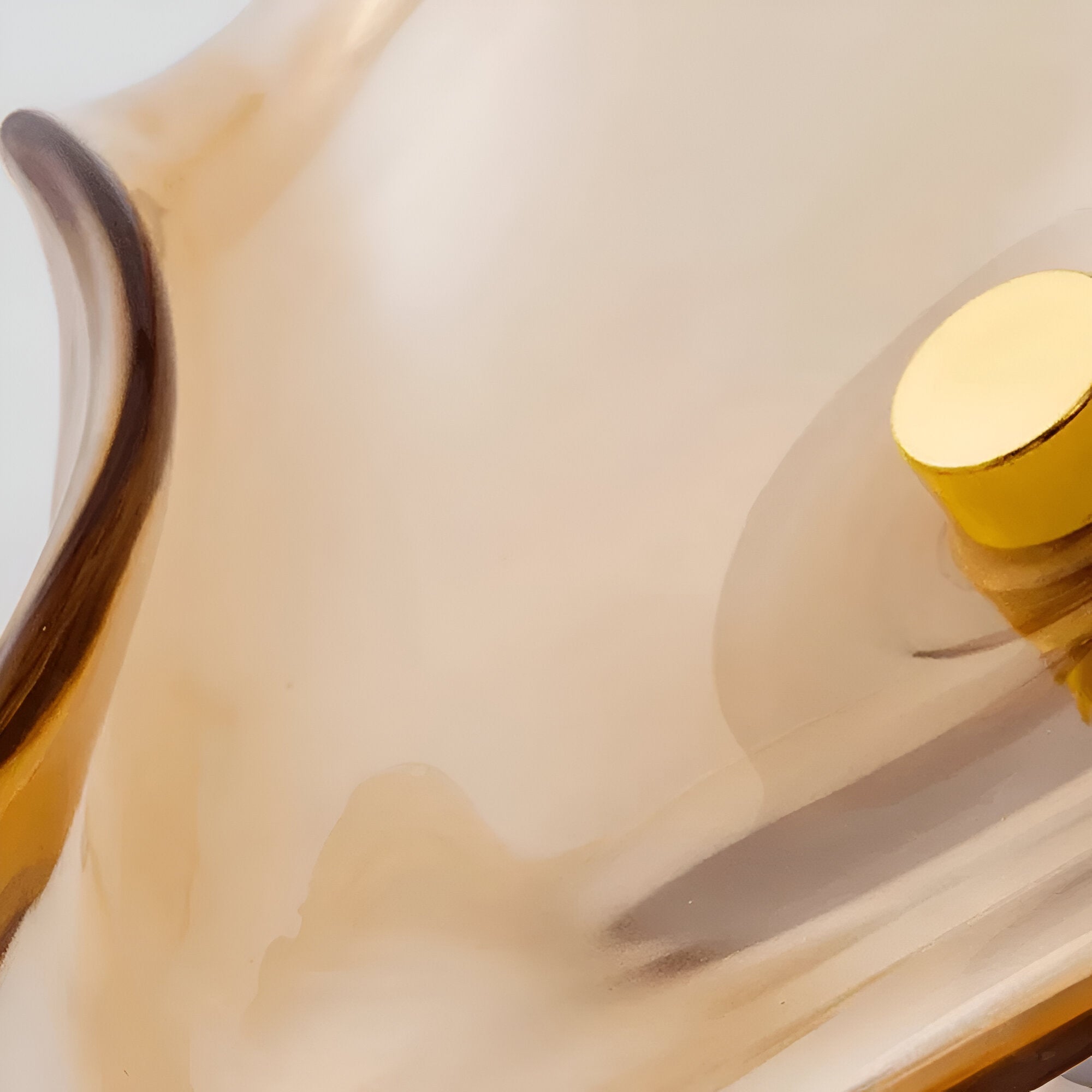 Wandlamp Gebogen Glas LED Sculpturaal Nordisch Goud Zwart 25cm Woonkamer Slaapkamer | Restfield